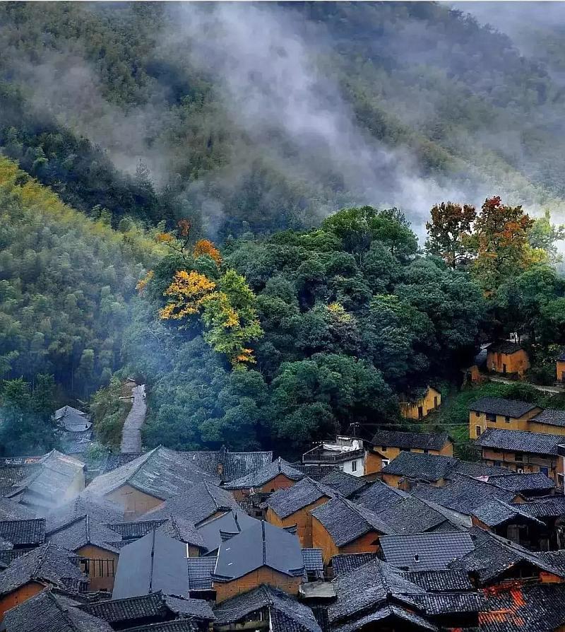 紫洁梁永久院长，请问这位怎么样？
