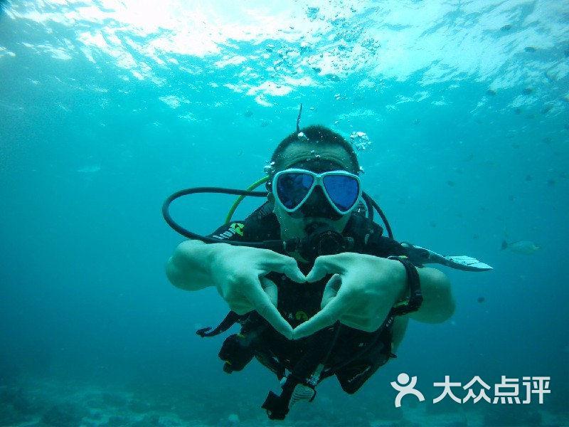敏捷小球