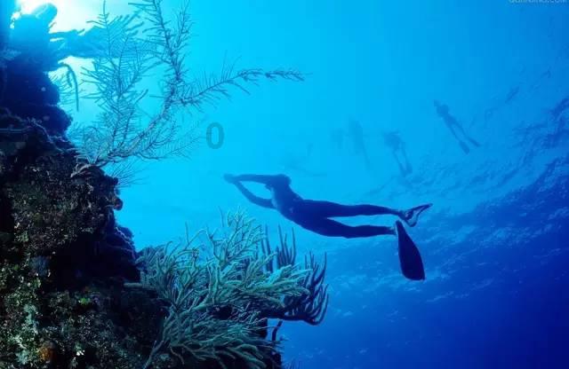 牛油果面包