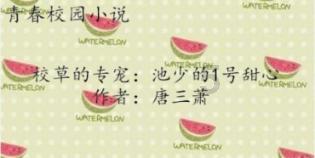 全市招商引资招才引智大会召开