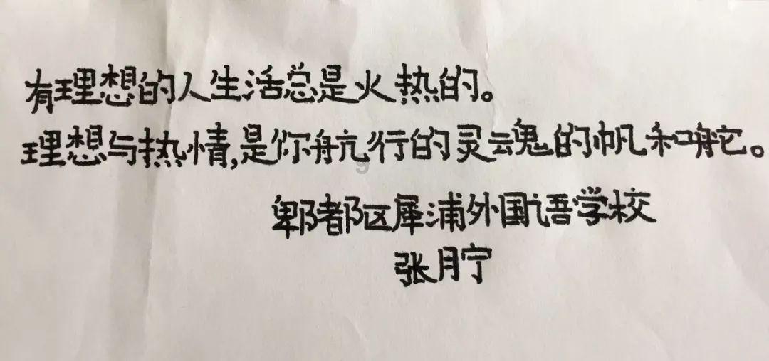 萌犬记忆卡